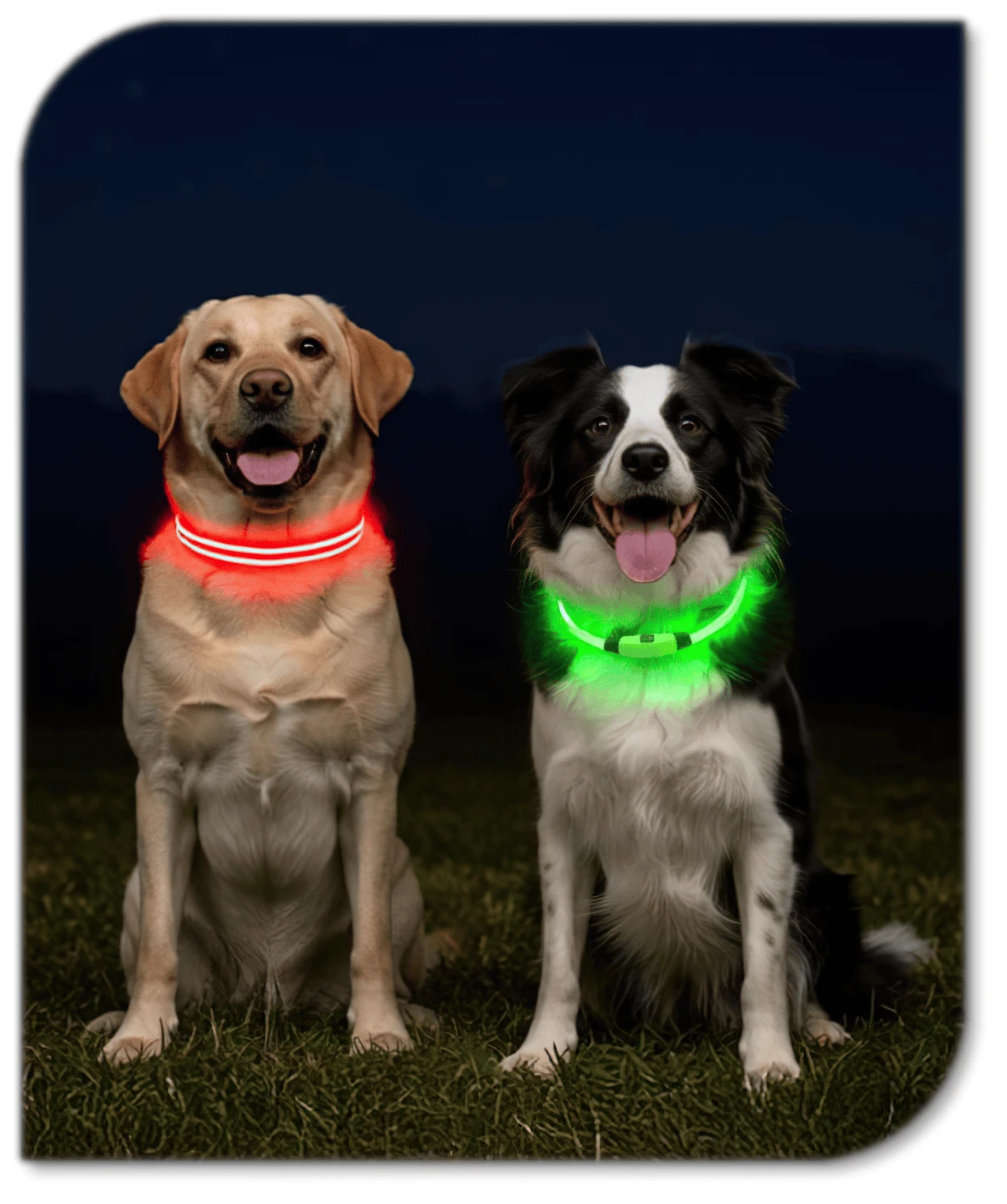 Wearables & Gear